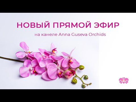 Видео: Новый прямой эфир 18. Ответы на вопросы