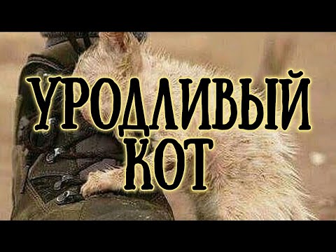 Видео: Уродливый кот. Автор Игорь Мазунин. Читает Лёня Бархатов ( 17 лет).