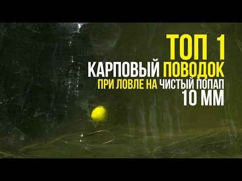 Видео: УЛОВИСТАЯ КАРПОВАЯ ОСНАСТКА ЗА 1 МИНУТУ! ЛОВЛЯ НА ОДИНОЧНЫЙ POP UP