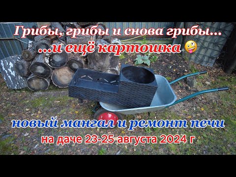 Видео: Грибы, мангал и снова грибы и печь на даче 23-25 августа 2024 г