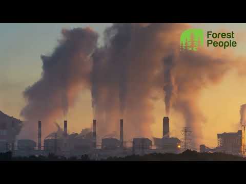 Видео: 10 глобальных экологических проблем, каждая из которых может уничтожить человечество