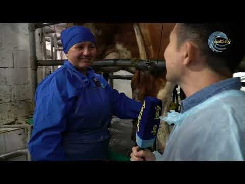 Видео: ОЗЫҚ ТЕХНОЛОГИЯЛАРҒА СҮЙЕНГЕН "ТАСТӨБЕ-АГРО ФУД" / ЕЛ мен ЖЕР / 23.06.2023