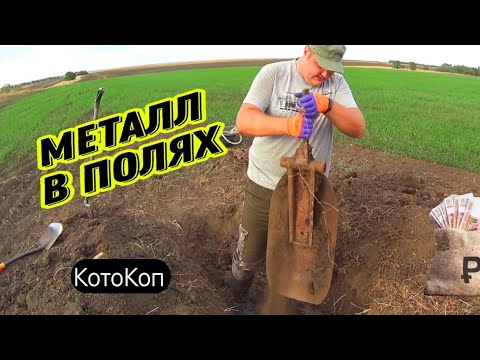 Видео: Коп. Сброс МЕТАЛЛА в ПОЛЕ! Днюха. ПОСАДКИ. #коп #заработок #hunting #металлокоп #кладоискатели