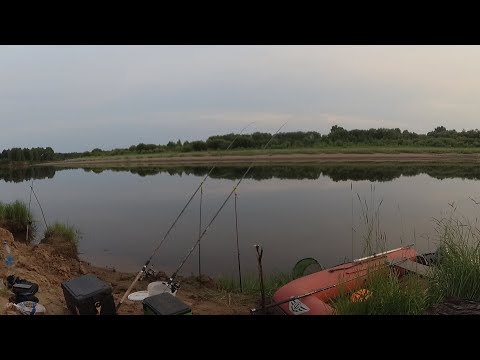 Видео: Рыбалка на Сысоле в июле