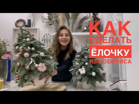 Видео: КАК сделать ЕЛКУ из НОБИЛИСА | часть 1