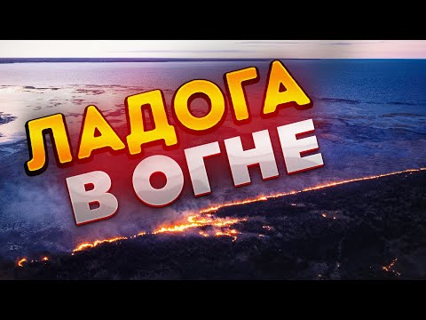 Видео: Подводная охота - Ладога в огне!