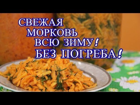 Видео: СВЕЖАЯ МОРКОВЬ ВСЮ ЗИМУ! БЕЗ ПОГРЕБА! КАК СОХРАНИТЬ МОРКОВЬ БЕЗ ПОГРЕБА.