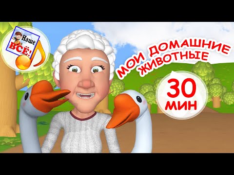Видео: Мои домашние животные #1. МУЛЬТ-КОНЦЕРТ 30 мин ДЛЯ МАЛЫШЕЙ. Наше всё!