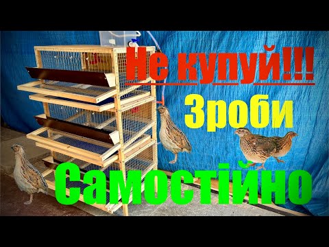 Видео: !!!Клітка для перепілок з ШАБЛОНАМИ і  РОЗМІРАМИ!!! #quail   #quailcage