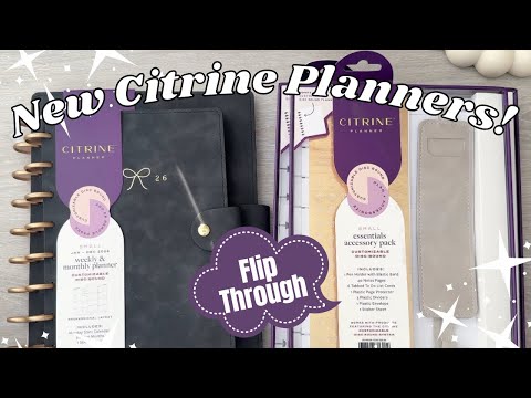 Видео: Новый ежедневник Citrine от Me & My Big Ideas | Эксклюзивные ежедневники Office Depot | Листайте