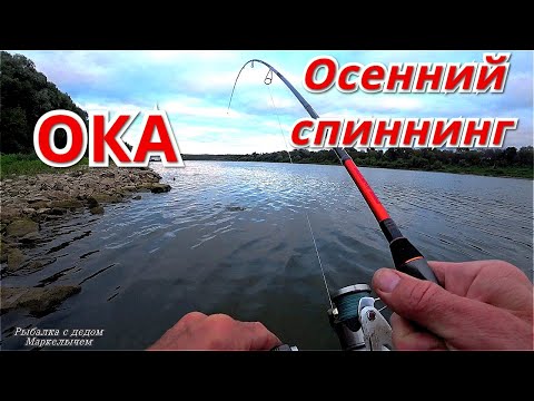 Видео: Осенний спиннинг на Оке 2020. Рыбалка с берега на воблеры.