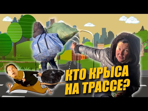Видео: ТРАССОВИКИ АЗИИ / ИСТОРИИ