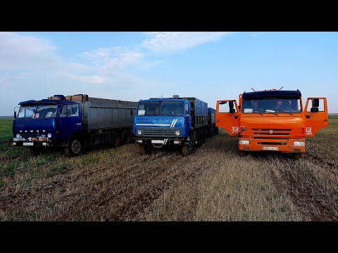 Видео: Вытаскиваю гружённый Камаз. Уборка урожая в Казахстане 2022! (№3)