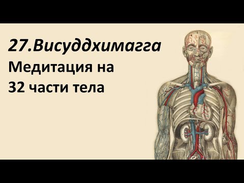 Видео: 027. VIII.42-144 Медитация на 32 части тела