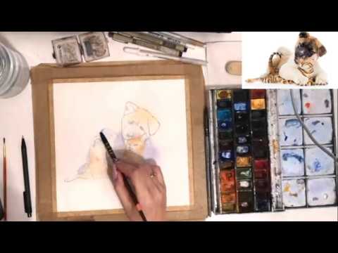 Видео: Прямой эфир 16.01.20 Акварель.