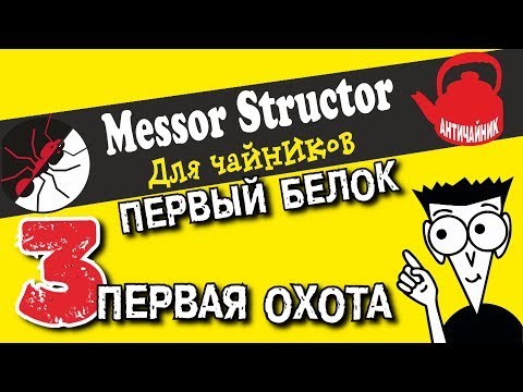 Видео: Первые муравьи. Messor structor. Первый белок - первая охота!