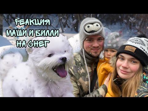 Видео: Один день в семье Ляпота ТВ! Первый снег глазами щенка и малышки Маруси