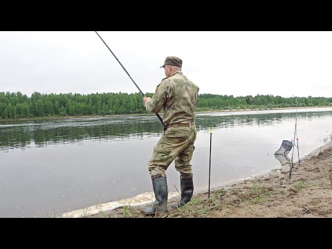 Видео: Ловля рыбы на фидер. Отловились неплохо!!! Рыбалка на реке Вычегда, Республика Коми.