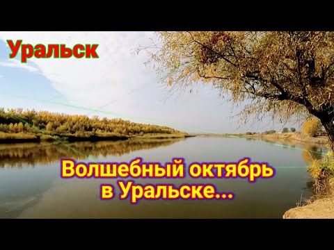 Видео: Ханская роща! Октябрь в Уральске!