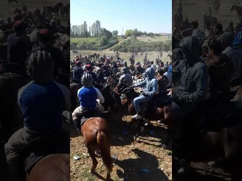 Видео: бузкаши дар майдони мачитон 20 Октябрь