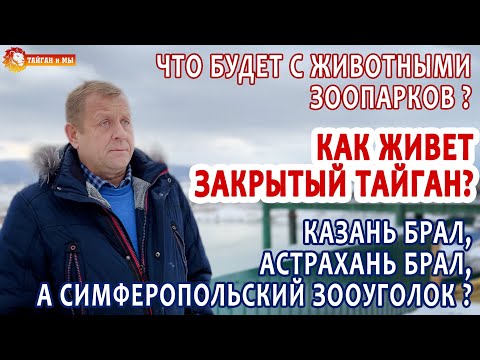 Видео: Животные зоопарков - КАЗНИТЬ нельзя ПОМИЛОВАТЬ. Что ждет закрытый Тайган?