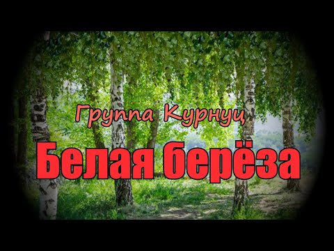Видео: Formatia Curnut (Группа Курнуц) - Белая берёза (дворовые песни) #курнуц #curnut