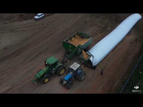 Видео: Хранение кукурузы с влажностью  до19% в пластиковых рукавах.