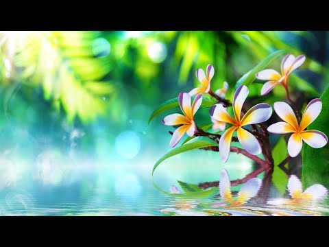 Видео: Спа музыка для релаксации ► Музыка для фона | Успокоение нервной системы | Журчание воды