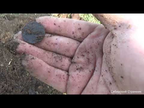 Видео: За царским серебром в глухие места.  Новый CTX 3030 радует находками.