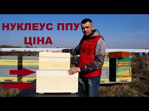 Видео: Нуклеус ППУ  Ціна
