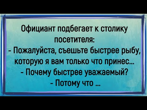Видео: 💎Как Официант Просил Посетителя Быстро Съесть Рыбу! Сборник Очень Смешных Анекдотов! Юмор! Позитив!