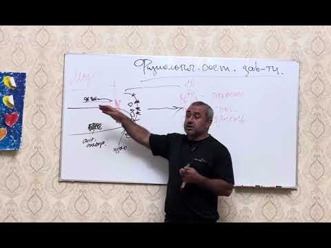 Видео: Лекция Потеря дозового контроля или Механизм физиологической зависимости от ПАВ . 