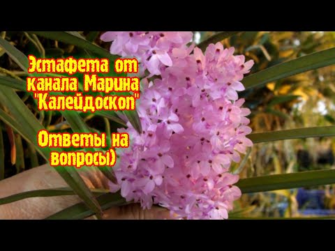 Видео: Эстафета от канала Марина,,Калейдоскоп"ОТВЕТЫ НА ВОПРОСЫ) ПЕСНЯ В КОНЦЕ ЭТОГО ВИДЕО ОТ МЕНЯ ДЛЯ ВАС)