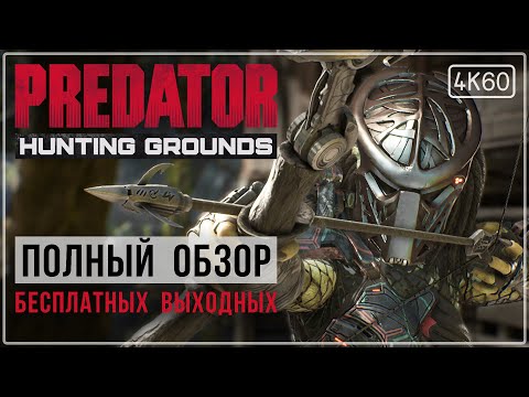 Видео: [ОБЗОР] Predator: Hunting Grounds - Тот ли ХИЩНИК, которого мы ждали? Внимание к деталям.