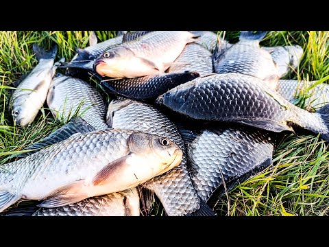 Видео: КАРАСЬ НА МОРМЫШКУ!! РЫБАЛКА НА ЗИМНЮЮ СНАСТЬ С ЛОДКИ В СЕНТЯБРЕ!! 👍👍