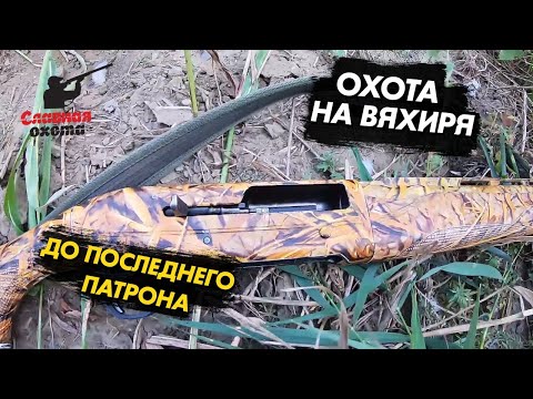 Видео: Охота на вяхиря/ До последнего патрона