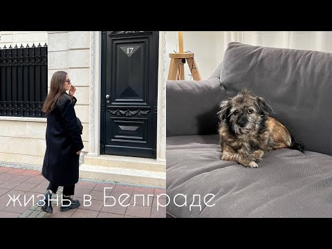 Видео: Белградский влог I новогодние праздники в Сербии