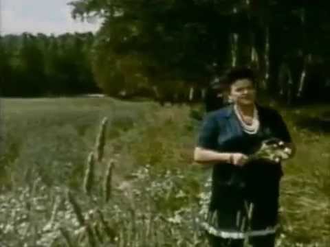 Видео: Людмила Зыкина Калина во ржи