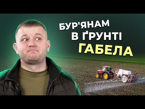 Видео: ҐРУНТОВИЙ ГЕРБІЦИД НА КУКУРУДЗУ – КОМУ І КОЛИ ПОТРІБЕН?