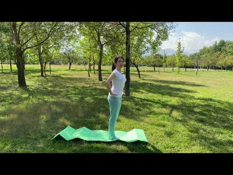 Видео: Язык танца  Урок 1  Вводный урок