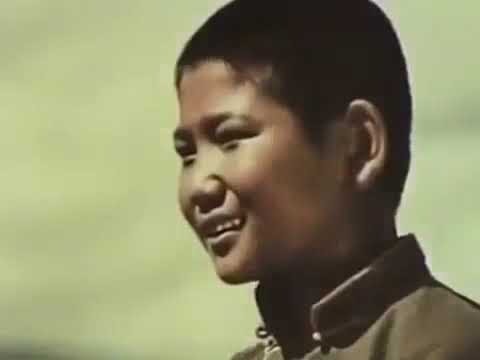 Видео: Хоньчин Найдан МУСК.  1979 он