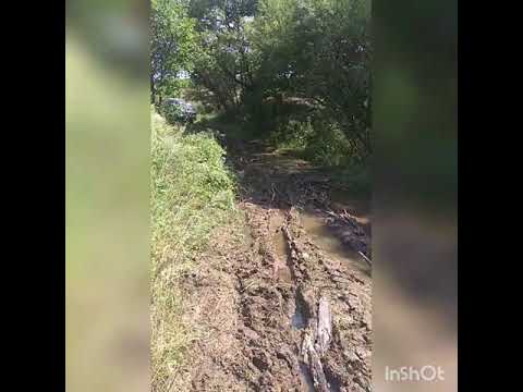 Видео: Злой Басик (Nissan Largo) Бездорожье