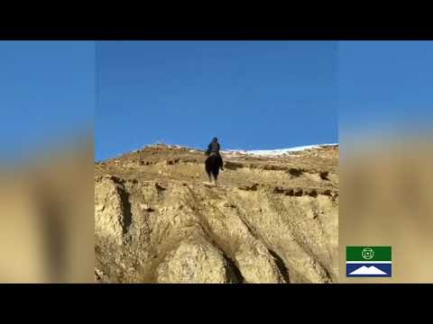 Видео: Карачаевская порода лошадей