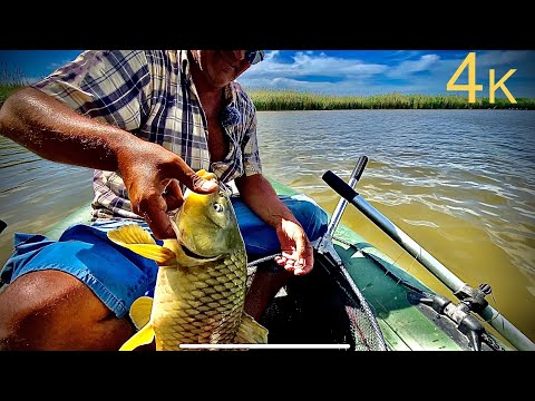 Видео: Закидушка (коротыш) за макухой карп в камыш! Рыбалка июль 2020.
