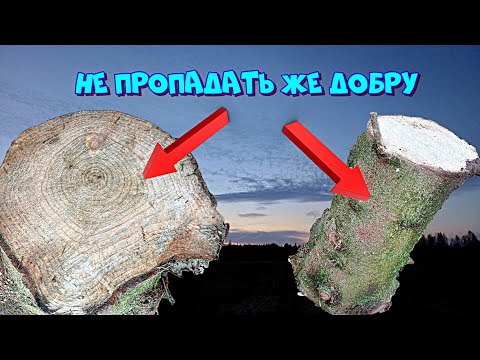 Видео: Находка в лесу, не пропадать же добру 👀