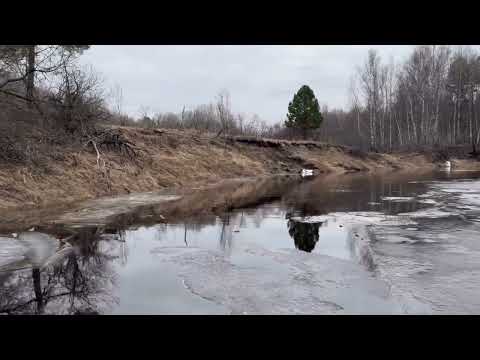 Видео: Выход на воду. Казанка 5М3