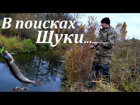 Видео: Ловим щуку на реке. Где искать щуку осенью. Джиг. Щука в октябре.