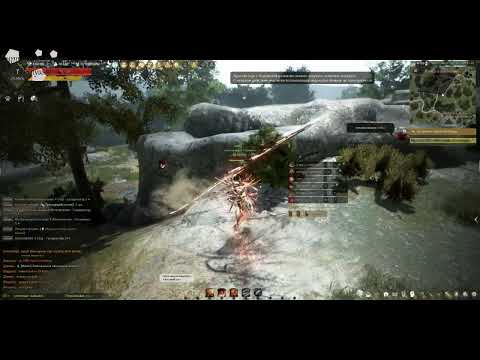 Видео: Black Desert Красный нос №2