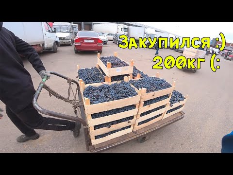 Видео: Переработал 200кг винограда за 1 подход. Задумался о дробилке!