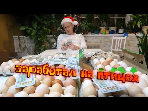 Видео: ЗАРАБОТАЛ НА ПТИЦАХ. Можно ли заработать в деревне? Циничный разбор бизнеса. Мой личный опыт.